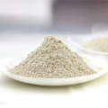 Roasted Garlic Powder Good Quality